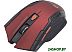 Мышь беспроводная Ritmix RMW-115 Red