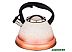 Чайник со свистком Agness 907-075 Чайник со свистком Agness 907-075
