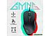 Игровая мышь Oklick GMNG 940GM