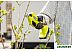 Секатор (сучкорез) RYOBI RY18SCA-0 (без батареи, 5133005024) Секатор (сучкорез) RYOBI RY18SCA-0 (без батареи, 5133005024)