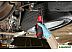 Чехол резиновый Milwaukee M12 FHIR14 + M12 FHIR38 4932479099 Чехол резиновый Milwaukee M12 FHIR14 + M12 FHIR38 4932479099