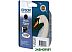 Картридж для принтера EPSON T0811 EPT08114A (C13T11114A10) Black Картридж для принтера EPSON T0811 EPT08114A (C13T11114A10) Black