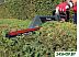 Кусторез Einhell GE-EH 7067 (3403340) Кусторез Einhell GE-EH 7067 (3403340)