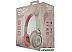 Наушники QUMO Party Cat 32303 (бежевый) Наушники QUMO Party Cat 32303 (бежевый)