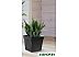 Вазон Multy Home Symphony EU5100016 (черный) Вазон Multy Home Symphony EU5100016 (черный)