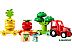 Конструктор LEGO Duplo 10982 Трактор для перевозки овощей и фруктов Конструктор LEGO Duplo 10982 Трактор для перевозки овощей и фруктов