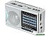 Радиоприемник Hyundai H-PSR160 (серебристый) Радиоприемник Hyundai H-PSR160 (серебристый)