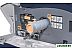 Картридж для принтера Xerox 006R01606 Картридж для принтера Xerox 006R01606