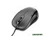 Компьютерная мышь GEMBIRD MOP-100