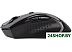 Мышь A4Tech G10-810FS