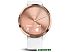 Умные часы Garmin Vivomove HR Sport S/M (розовое золото/белый) Умные часы Garmin Vivomove HR Sport S/M (розовое золото/белый)
