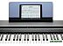 Цифровое пианино Kurzweil MPS110