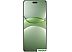 Телефон Huawei nova 13 Pro MIS-LX9 12GB/512GB (дымчатый зеленый)