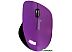Мышь беспроводная SmartBuy 309AG Purple (SBM-309AG-P)