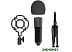 Микрофон Ritmix RDM-160 Black Микрофон Ritmix RDM-160 Black
