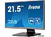 Монитор Iiyama ProLite T2252MSC-B2