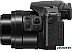 Фотоаппарат Panasonic Lumix DMC-FZ300 Фотоаппарат Panasonic Lumix DMC-FZ300