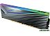 Оперативная память A-Data XPG Caster RGB 2x16ГБ DDR5 6000 МГц AX5U6000C4016G-DCCARGY