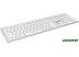 Клавиатура A4Tech Fstyler FBX50C (серебристый/белый)