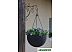 Кашпо Keter Rattan Style Hanging 229545 (графит) Кашпо Keter Rattan Style Hanging 229545 (графит)