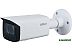 IP-камера Dahua DH-IPC-HFW1230T-ZS-S5 IP-камера Dahua DH-IPC-HFW1230T-ZS-S5