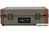 Виниловый проигрыватель Ritmix LP-130B (серый) Виниловый проигрыватель Ritmix LP-130B (серый)