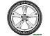 Автомобильные шины Goodyear Eagle F1 Asymmetric 2 245/50R18 100Y Автомобильные шины Goodyear Eagle F1 Asymmetric 2 245/50R18 100Y