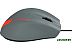 Мышь Canyon CNE-CMS11DG