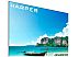 Телевизор Harper 55U771TS