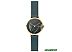 Наручные часы Skagen SKW2720 Наручные часы Skagen SKW2720