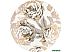 Тарелка обеденная Lefard Golden Rose 133-313 Тарелка обеденная Lefard Golden Rose 133-313