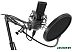 Микрофон Ritmix RDM-169 Микрофон Ritmix RDM-169