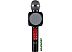 Микрофон Wster WS-1816 (черный) Микрофон Wster WS-1816 (черный)