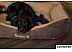 Лежанка для животных Scruffs Thermal Box Bed 677236 (коричневый) Лежанка для животных Scruffs Thermal Box Bed 677236 (коричневый)