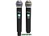 Микрофон Ritmix RWM-222 Микрофон Ritmix RWM-222