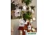 Светодиодная гирлянда Navigator Фигурки NGF-D013-10WW-2AA (80718) Светодиодная гирлянда Navigator Фигурки NGF-D013-10WW-2AA (80718)