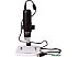 Микроскоп Levenhuk DTX TV 70422 Микроскоп Levenhuk DTX TV 70422