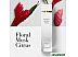 Туалетная вода Elizabeth Arden White Tea Ginger Lily (100 мл) Туалетная вода Elizabeth Arden White Tea Ginger Lily (100 мл)