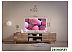 Телевизор KIVI 24H750NW Телевизор KIVI 24H750NW