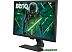 Монитор BenQ GL2480