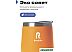 Термокружка RoadLike Mug 350мл (оранжевый)