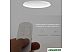 Люстра-тарелка Yeelight Ceiling Light A2001C450 (YLXD032) Люстра-тарелка Yeelight Ceiling Light A2001C450 (YLXD032)