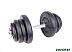 Гантель разборная Central Sport 24.5 кг Гантель разборная Central Sport 24.5 кг