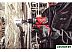 Ударная дрель-шуруповерт Milwaukee M12 FPD-602X 4933459806 (с 2-мя АКБ, кейс)