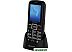 Кнопочный телефон Maxvi B21ds (черный)