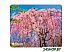 Коврик для мыши Defender Silk Pad Nature (50707)