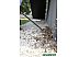 Пылесос Karcher WD 3 P (MV 3 P) (1.629-880.0) Пылесос Karcher WD 3 P (MV 3 P) (1.629-880.0)