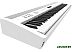 Цифровое пианино Roland FP-60X (белый) Цифровое пианино Roland FP-60X (белый)