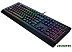 Клавиатура Razer Cynosa v2 (RZ03-03400700-R3R1) Клавиатура Razer Cynosa v2 (RZ03-03400700-R3R1)