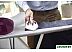 Утюг Tefal Express Anti-Calc SV8054E0